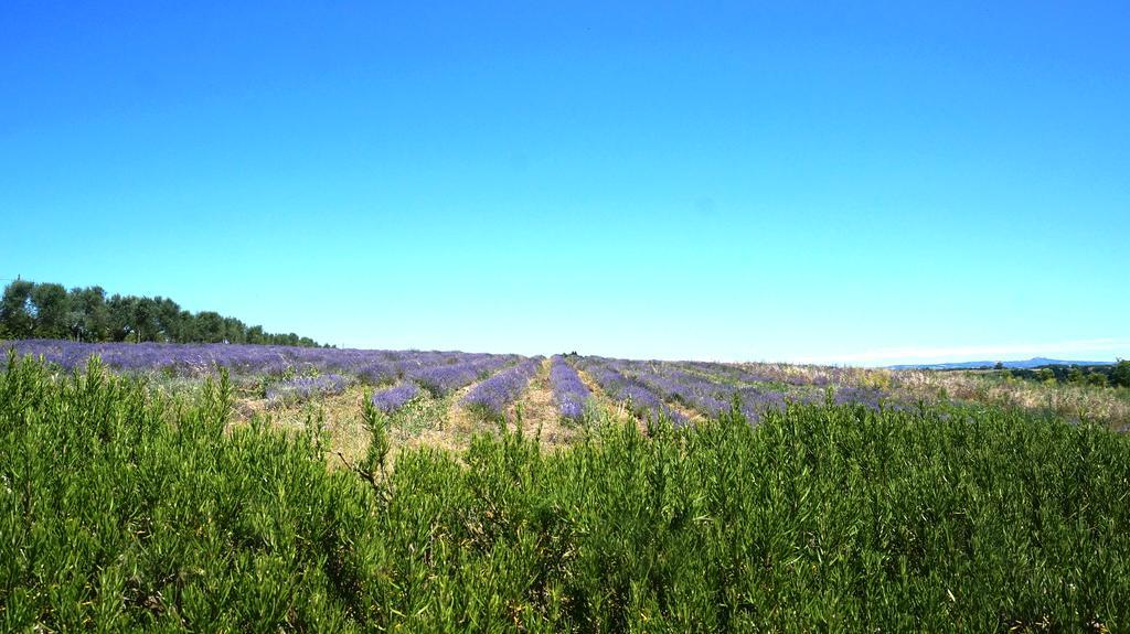 Agriturismo San Giusto Hotel Tuscania Esterno foto